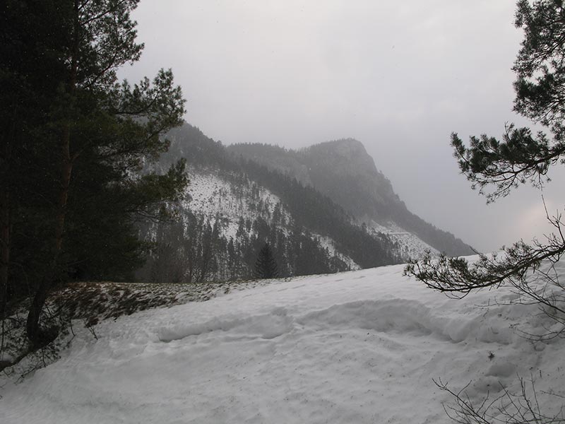 obersberg